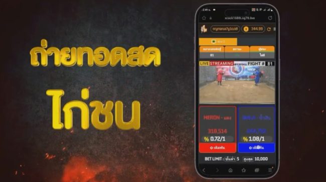 เกมไก่ชน-"Mobile cockfighting game"